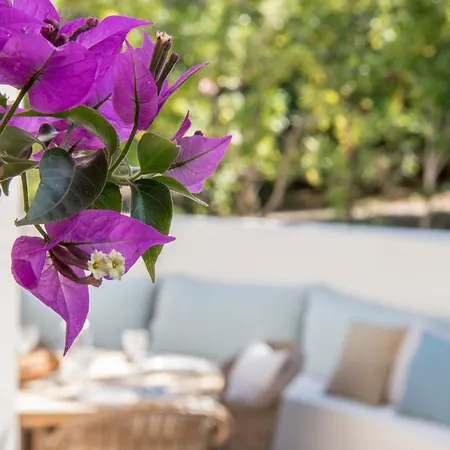 Boutique Chateau Rouher Szálloda *